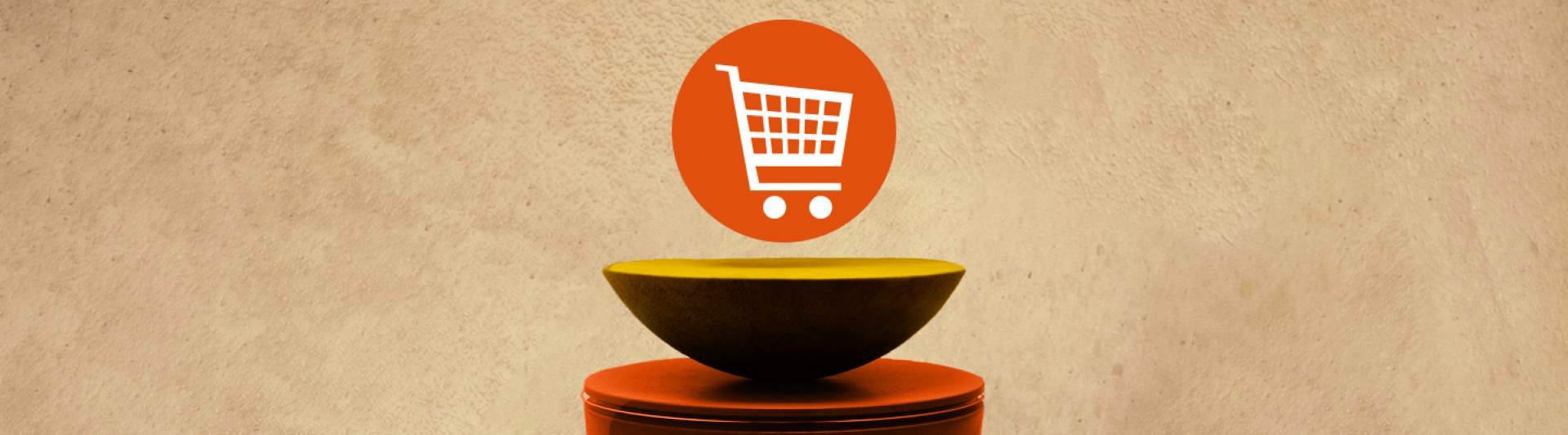 Success Stories banner image WebOrigo